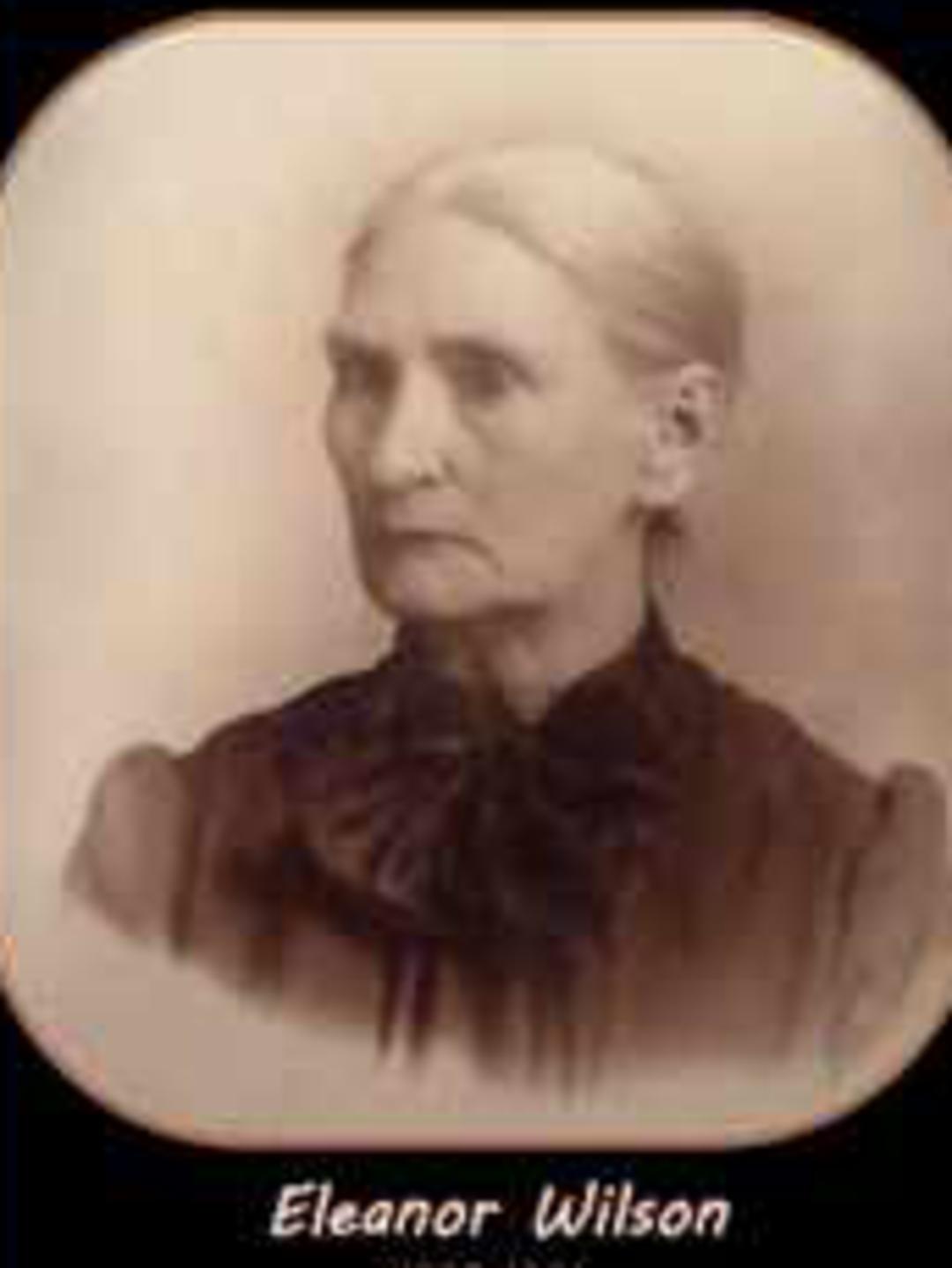 Eleanor Wilson (1833 - 1882) Profile